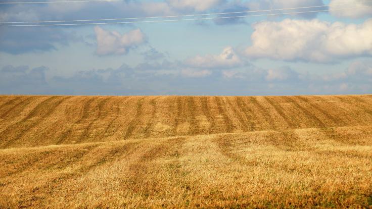 Kraj Vysočina a okolí: Pronajměte svoji zemědělskou půdu, výhodné nabídky pachtu 1472w