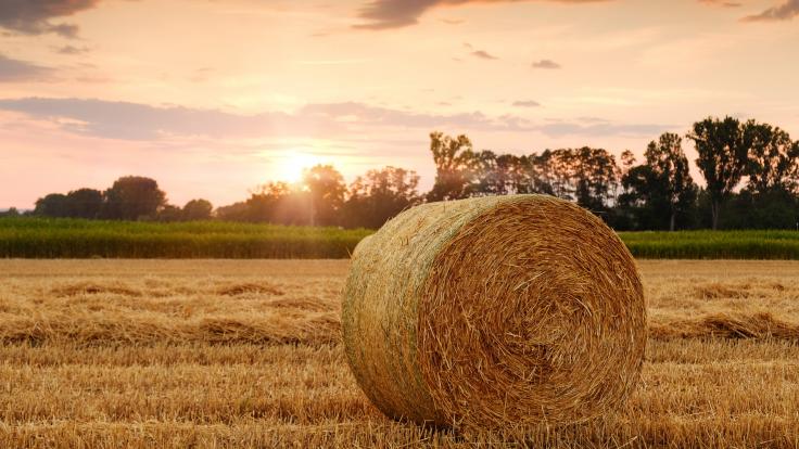 5 zásadních tipů pro udržení hodnoty zemědělské půdy 1472w