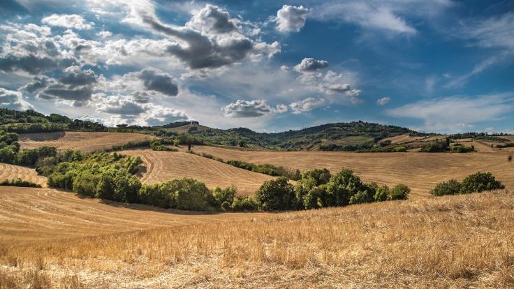 Co je bonita BPEJ a jak ovlivňuje cenu zemědělské půdy 1472w